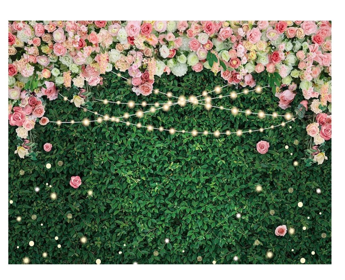 backdrop