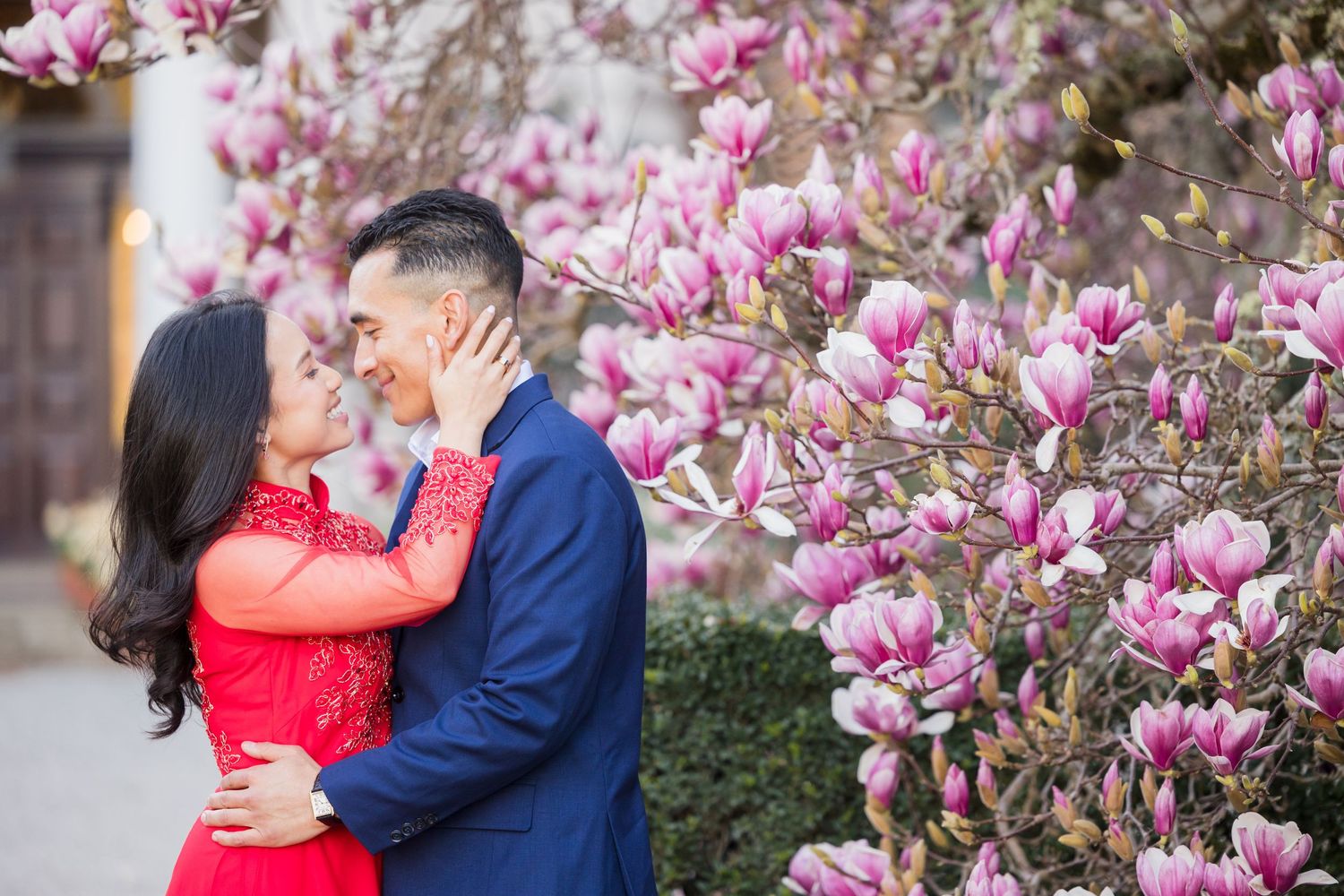 Couple embracing near blooming pink magnolia tree, woman in red lace dress and man in blue suit, spring engagement photo.