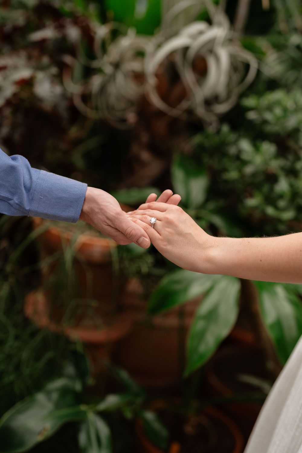 Close-up of couple holding hands showing engagement ring with lush green plants in background.