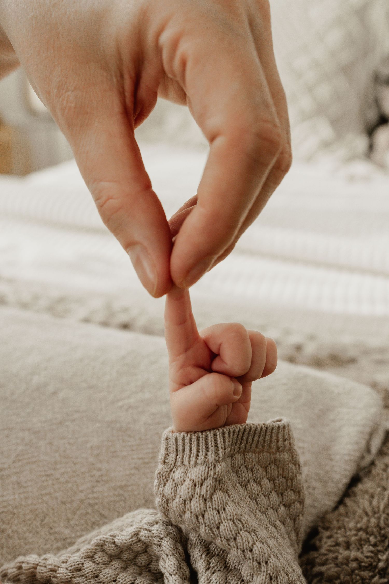 Detailfoto beim Babyfotograf Niederösterreich in Stockerau von der Hand eines Neugeborenen