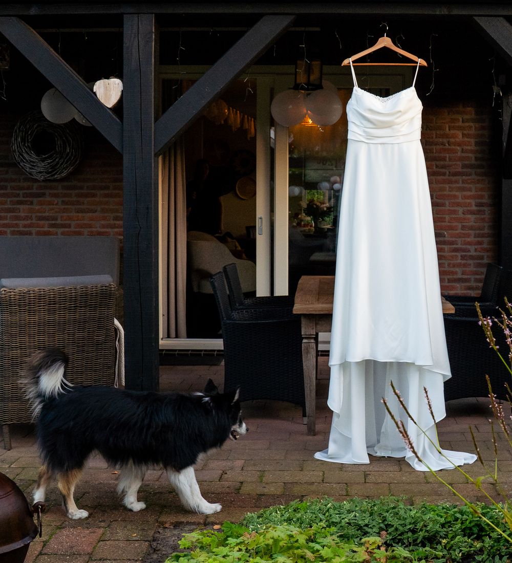 Een witte trouwjurk hangt aan een kapstok op de veranda, naast een zwart-witte hond in een tuin. De details van de fotograaf