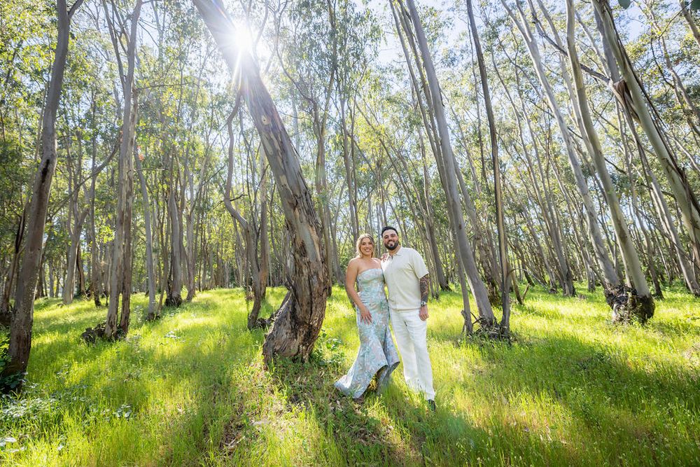 Couple in wedding attire embracing in a sunlit eucalyptus forest with lush green grass.