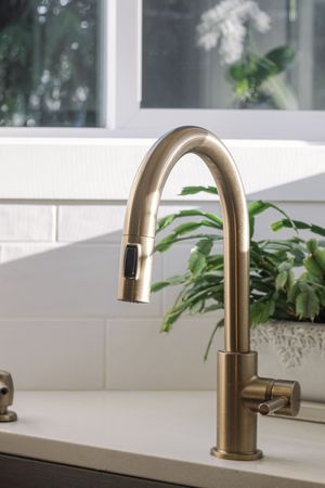 Brushed gold pull-down kitchen faucet with white subway tile backsplash and green houseplant.