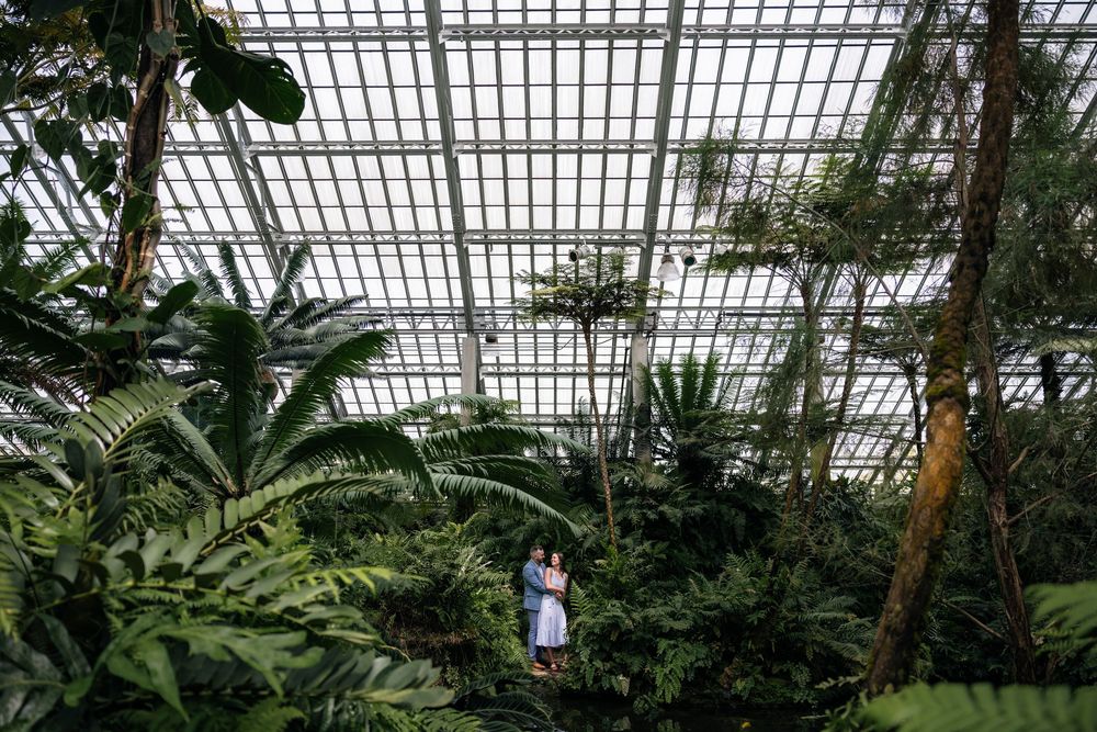 Couple embracing inside Garfield Park Conservatory with towering palms and a large glass ceiling during their engagement session