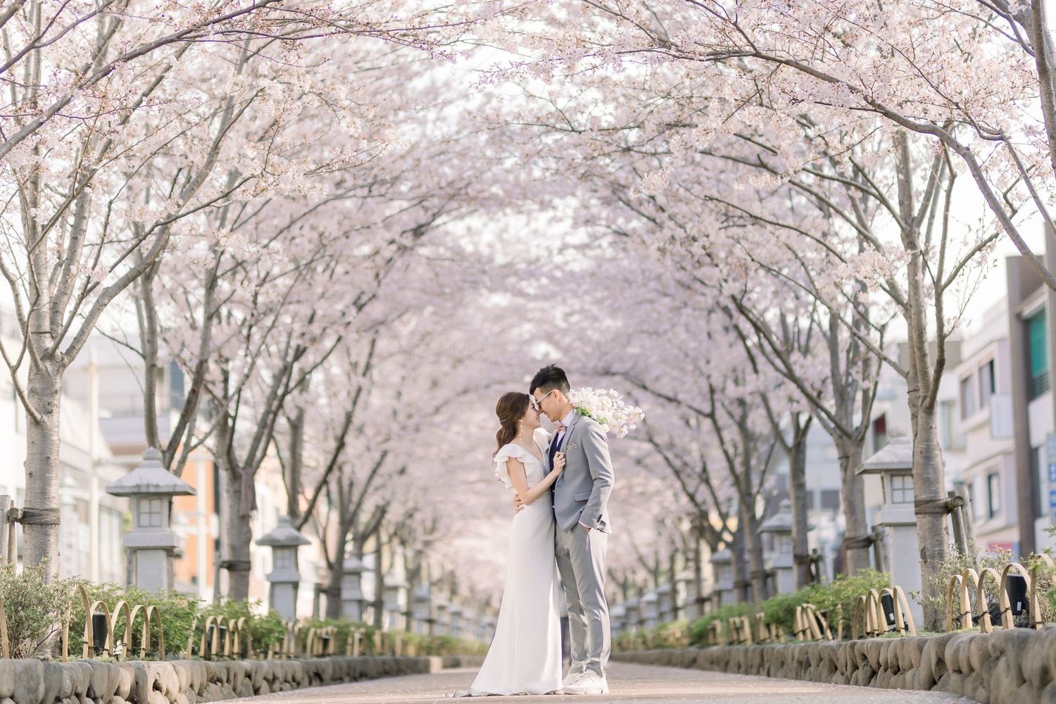 Couple in wedding attire embracing under a canopy of blooming pink cherry blossom trees on a serene street.