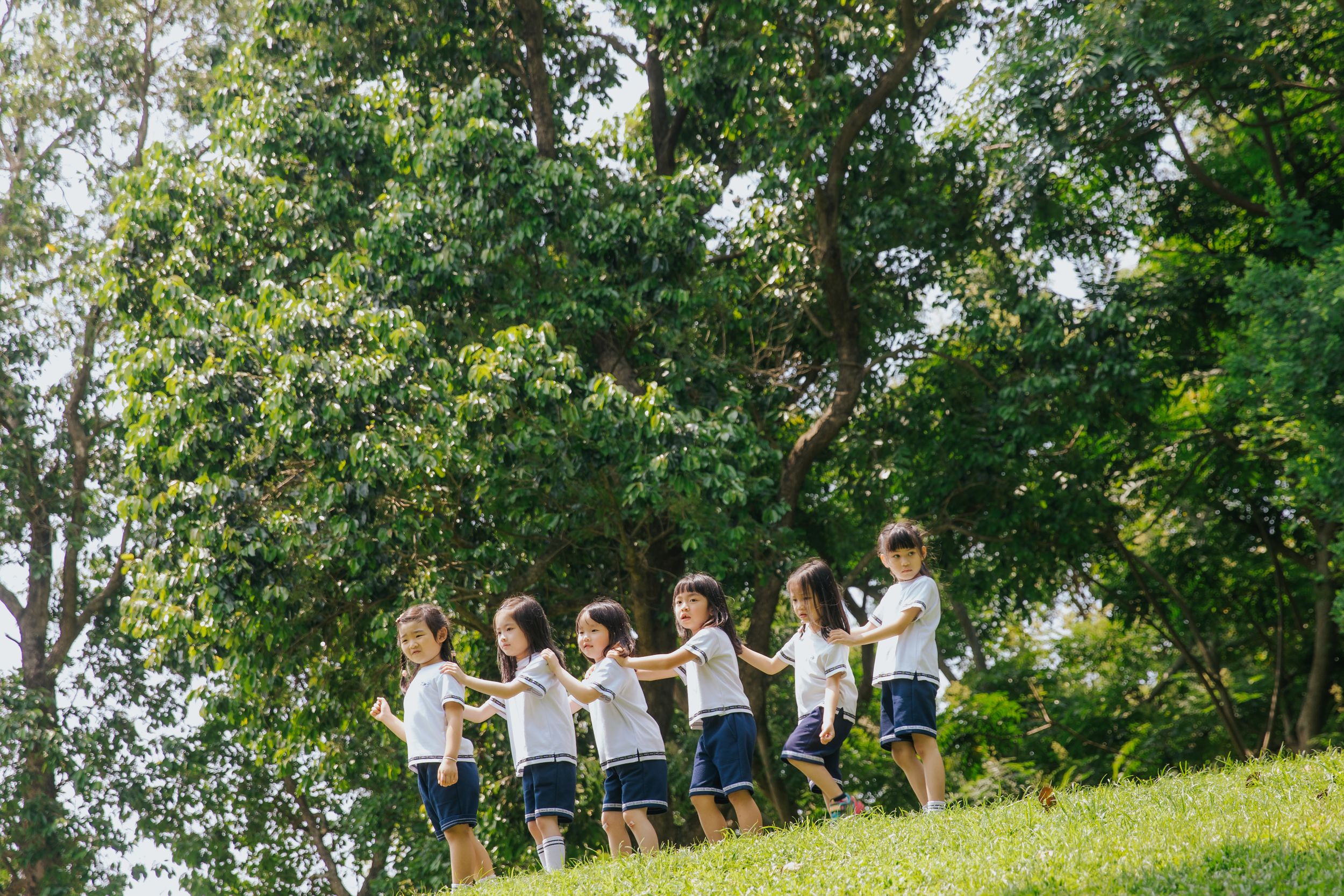 A line of young children holding hands and walking together on a green grassy hill surrounded by trees. 一群小孩手牽手，走在綠草茵、樹木環繞的山坡上。