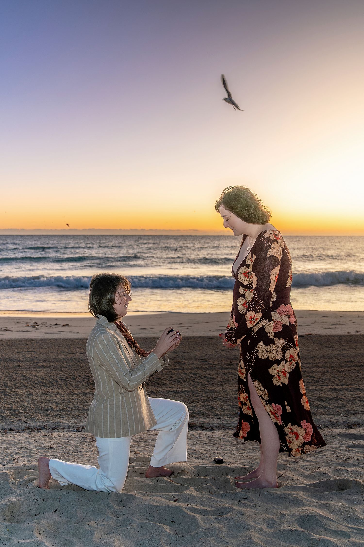 Man proposes to woman on sandy beach at sunset, kneeling with ring while seagull flies overhead.