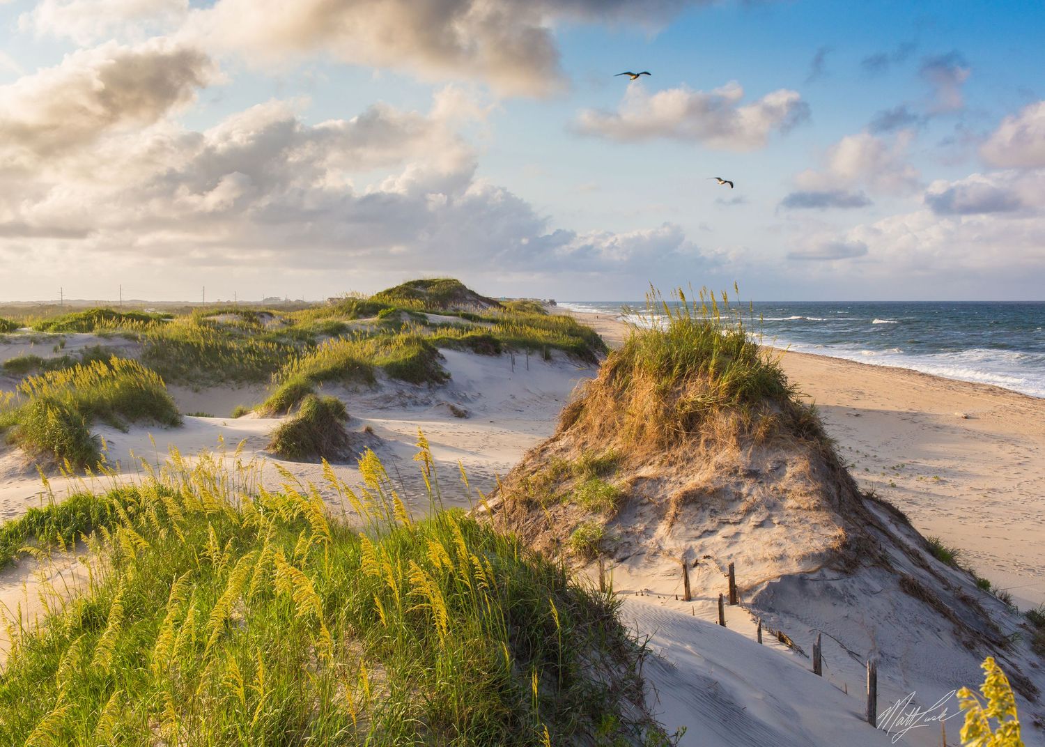 Outer Banks Wedding and Portrait Photography by Matt Lusk Photography