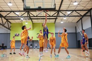 Basketball players compete for a rebound under the hoop during competitive indoor match.