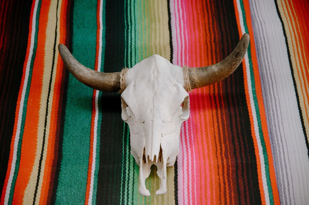 Decorative Mexican serape blanket pattern with bull skulls as wall decor.