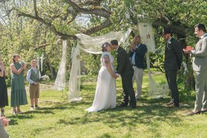 Outdoor wedding ceremony under a decorated tree with bride, groom, officiant, and guests on a sunny day.