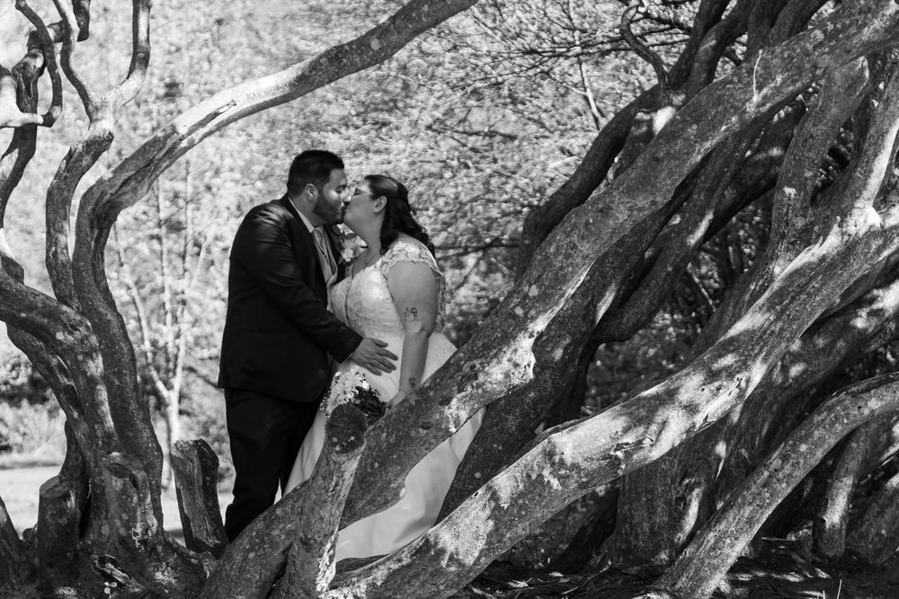 Black and white wedding photo of bride and groom kissing among twisted tree branches in a romantic outdoor setting.