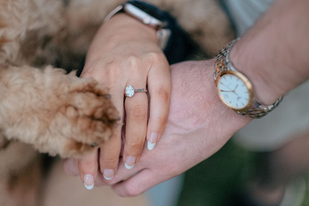 A close-up view shows hands holding a textured wedding ring in a soft natural light setting.
