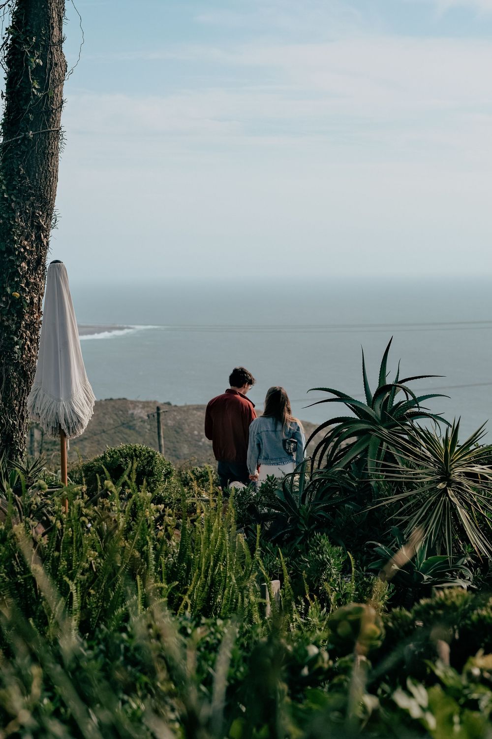 Three similar coastal views show silhouettes of people against an ocean backdrop with green plants in the foreground.