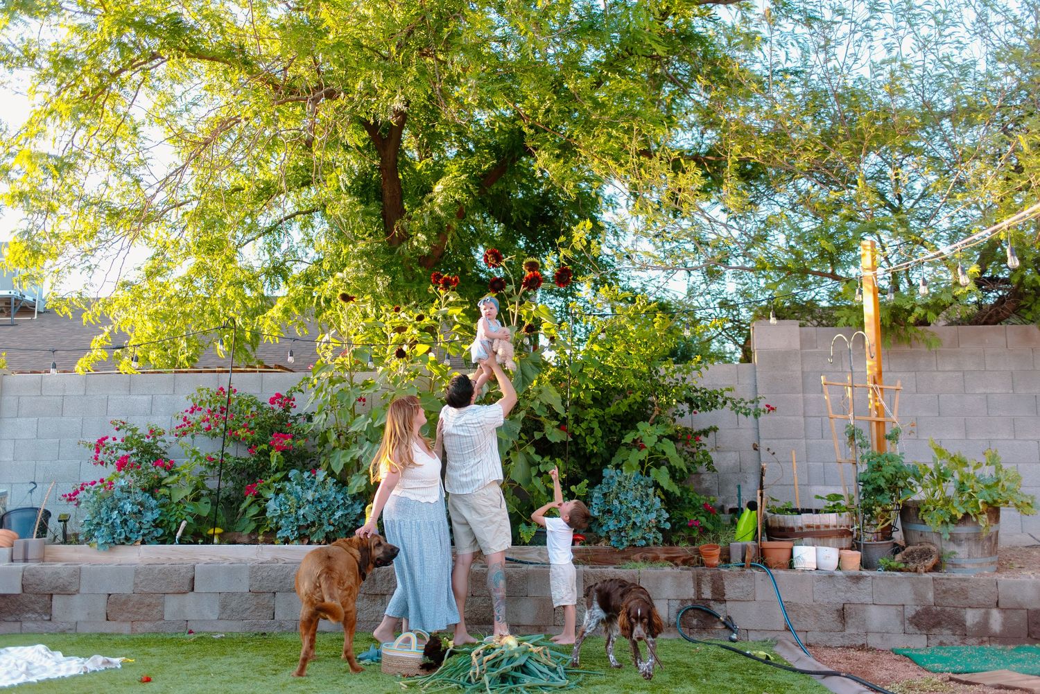 Backyard garden family photos in the heart of Phoenix, Arizona.