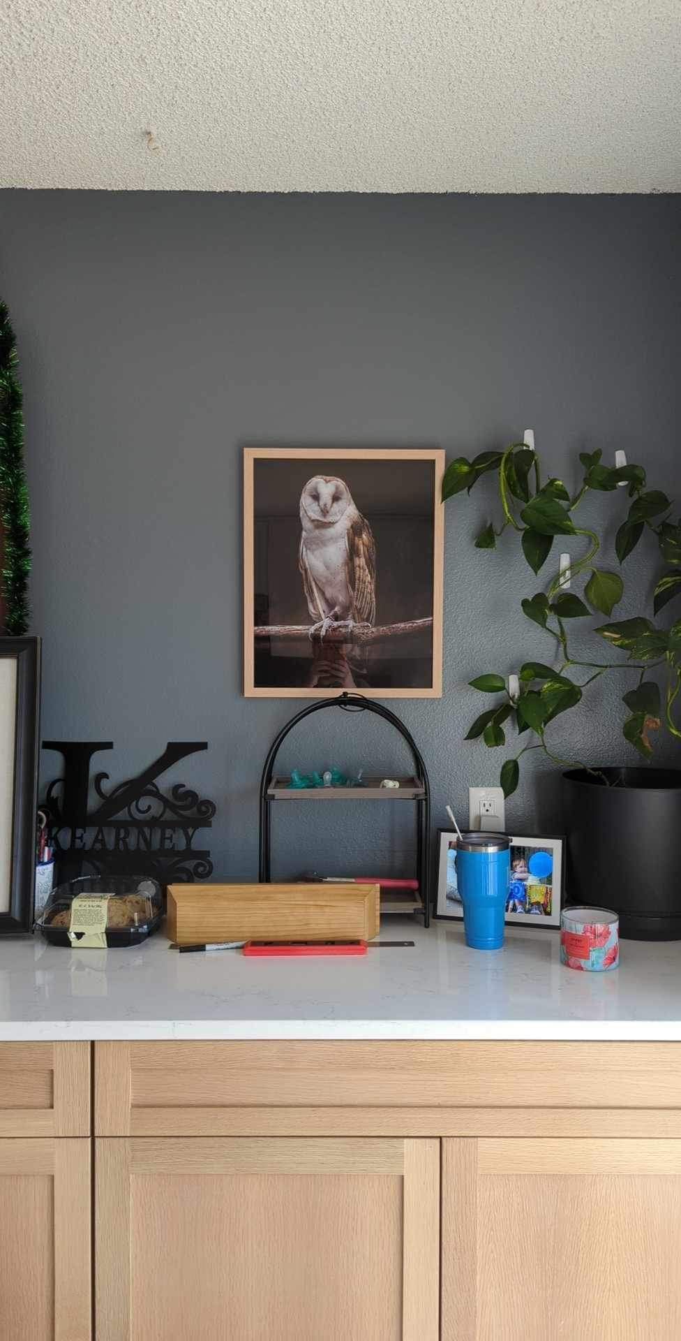 A barn owl print hangs on a gray wall above a kitchen counter with decorative items and indoor plants.