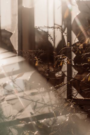 Ritratto ambientato a Cogliate – Dreaming. Ritratti intimi e ispirati, tra luce e atmosfera. Un’esperienza visiva autentica, la tua luce