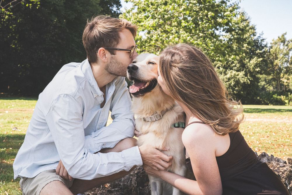 Two people and their happy golden retriever dog sharing a playful moment in a park.