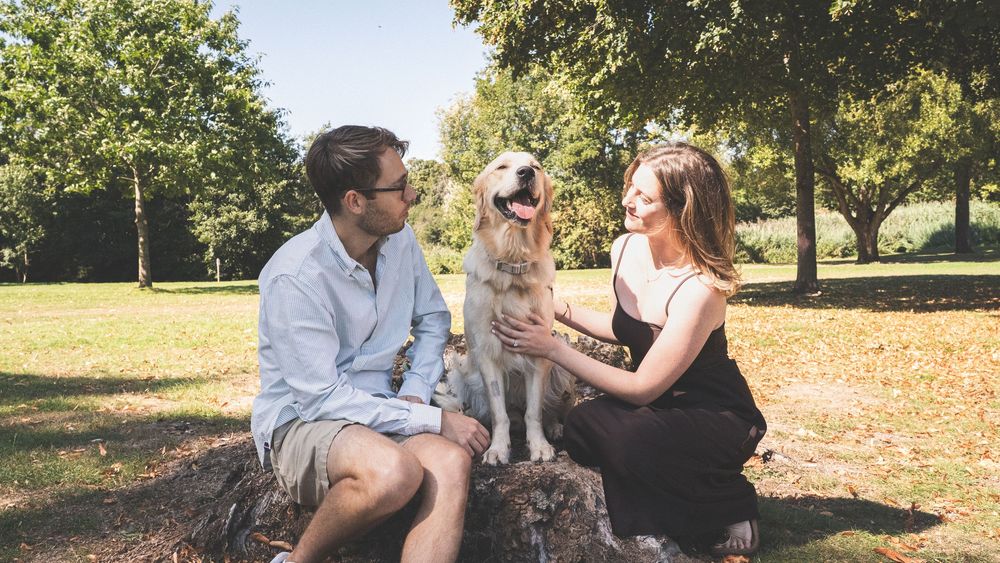 A couple sits outdoors with their small fluffy dog on a tree stump in a sunny park.