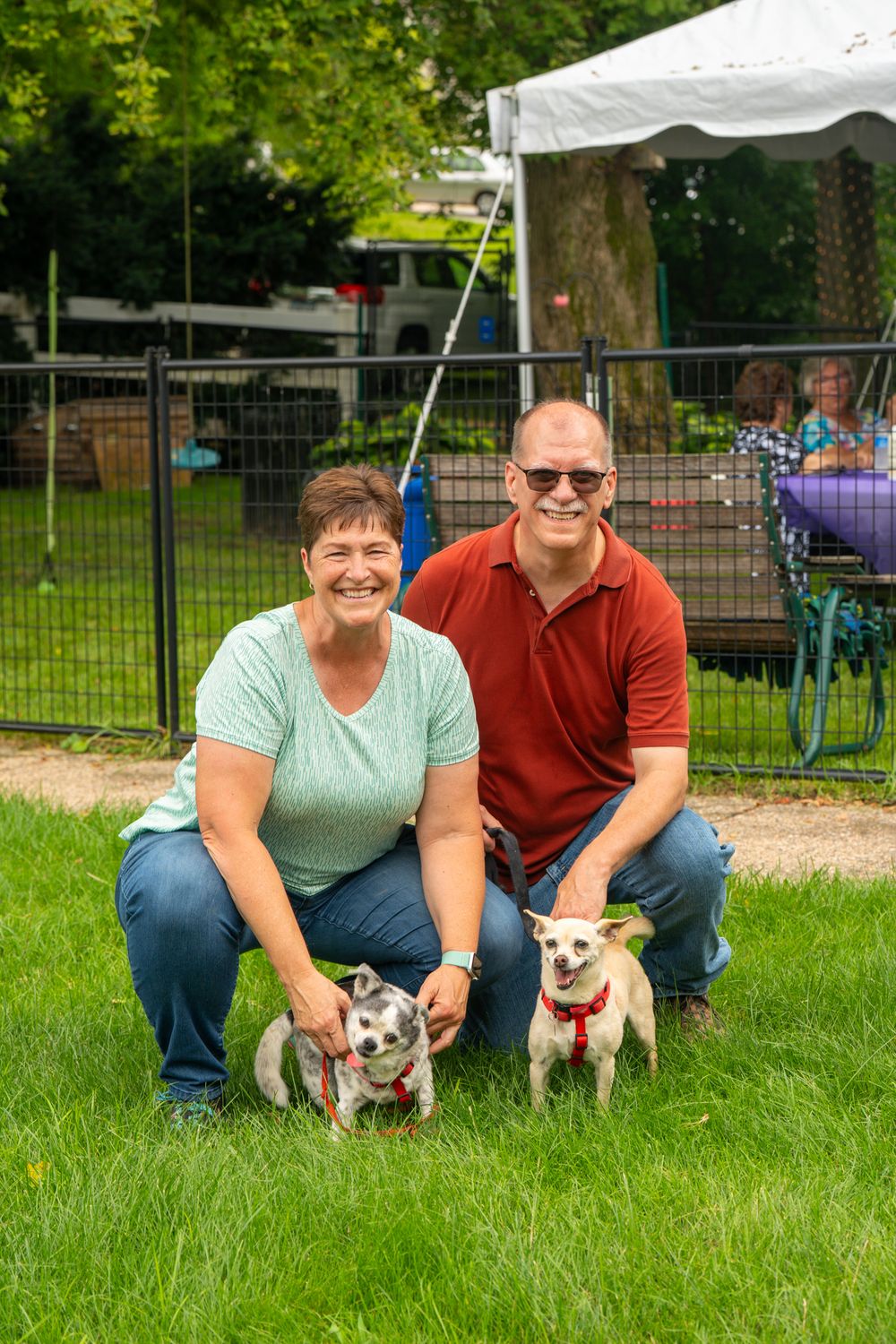 Two small dogs on leashes sit in grass with their companions during a sunny day. Celebration of Life Quad Cities Photography