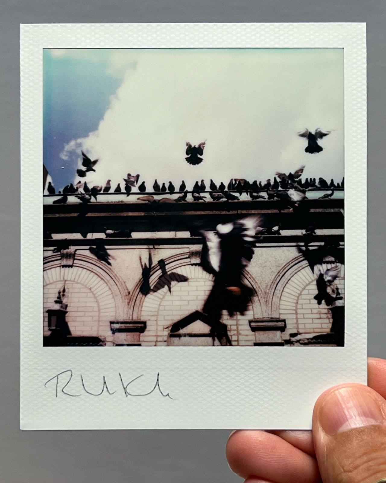 Silhouettes of birds perched on a roofline against a cloudy sky captured in vintage Polaroid style.