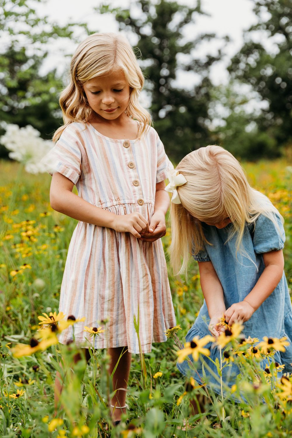 Children exploring and playing among tall wildflowers in a sunny summer field.