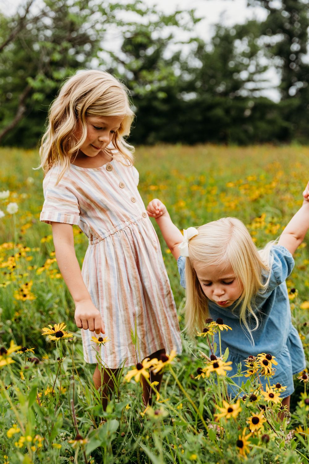 Playful moments captured in a field of yellow wildflowers on a bright summer day.