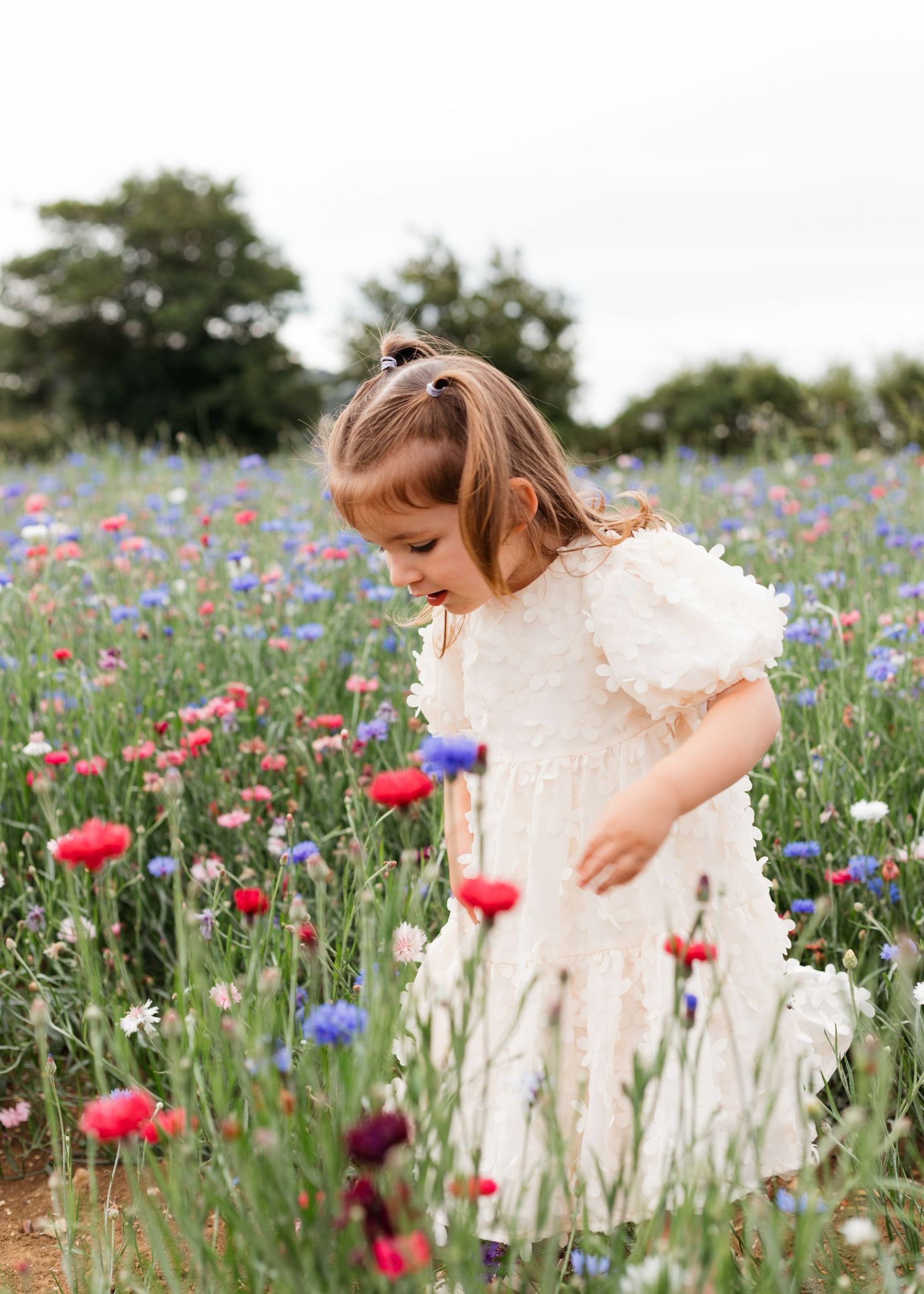 Summer family photography, wild flower summer photo shoots.  Sarah Shaw Photography Hertfordshire