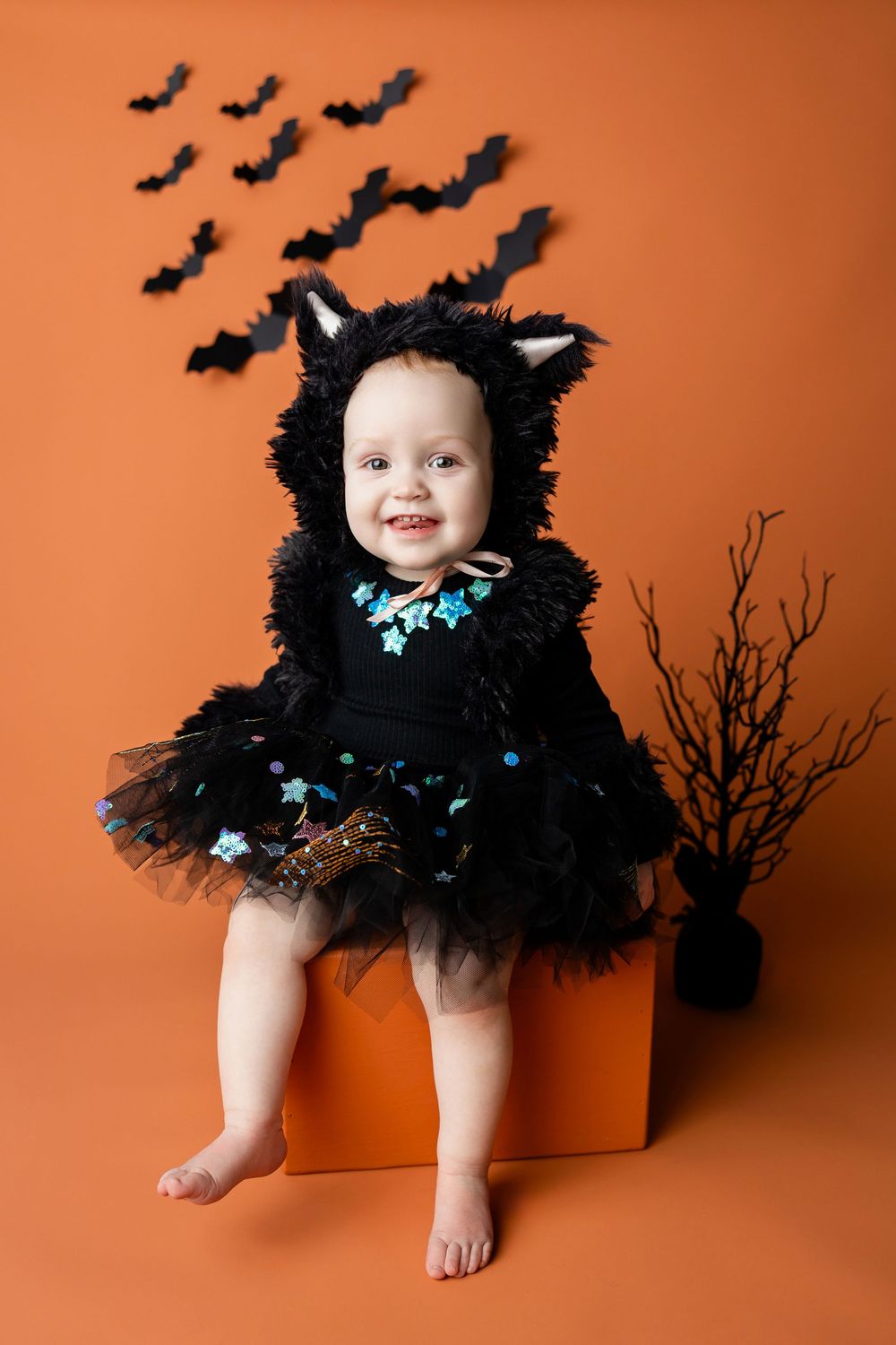 A small black cat costume with blue accents and bat decorations against an orange backdrop for Halloween.