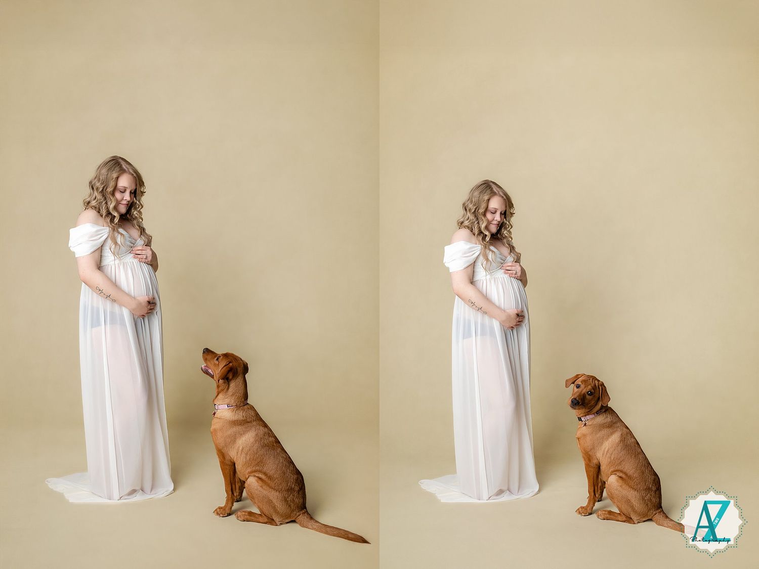 A maternal photo featuring a white gown, with a brown dog sitting obediently beside the subject.