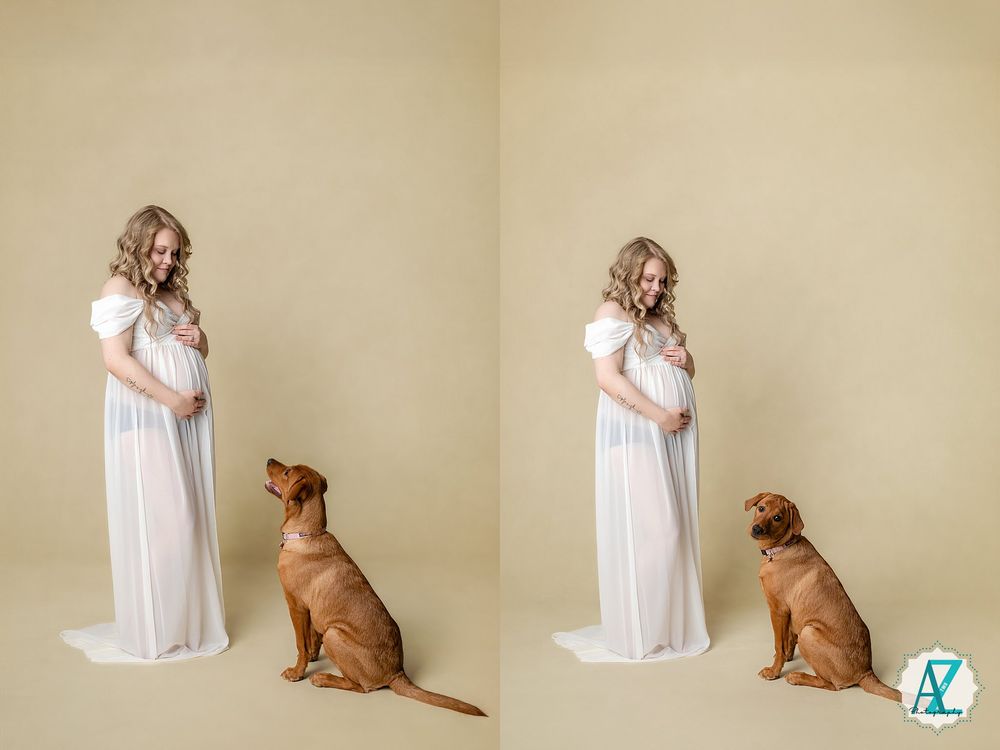 A maternal photo featuring a white gown, with a brown dog sitting obediently beside the subject.