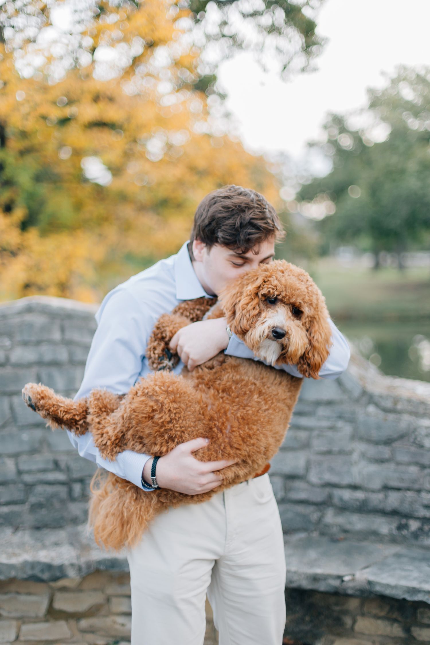 A person in light clothing holds and cuddles an adorable goldendoodle dog near a stone wall with autumn foliage in background.