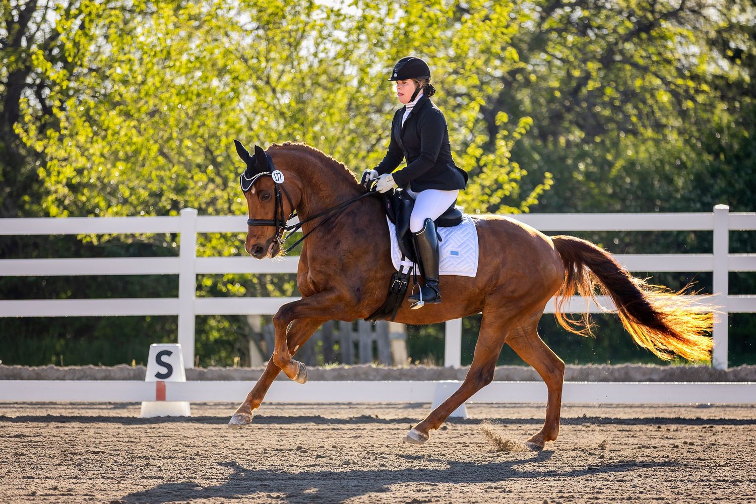 A rider in formal dressage attire performs on a chestnut horse in an outdoor arena with white fencing.