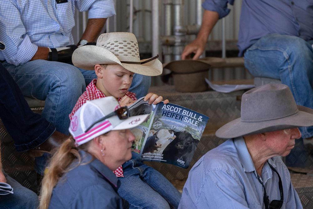 little boy filling out sale catalogue at bull sale