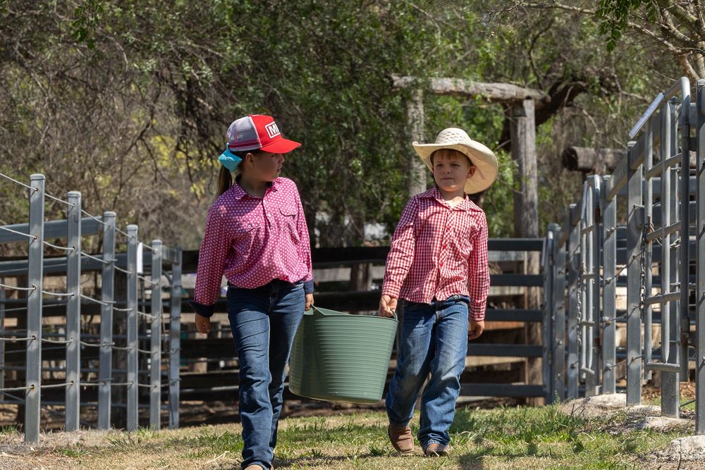 Children carrying water bucket at bull sale