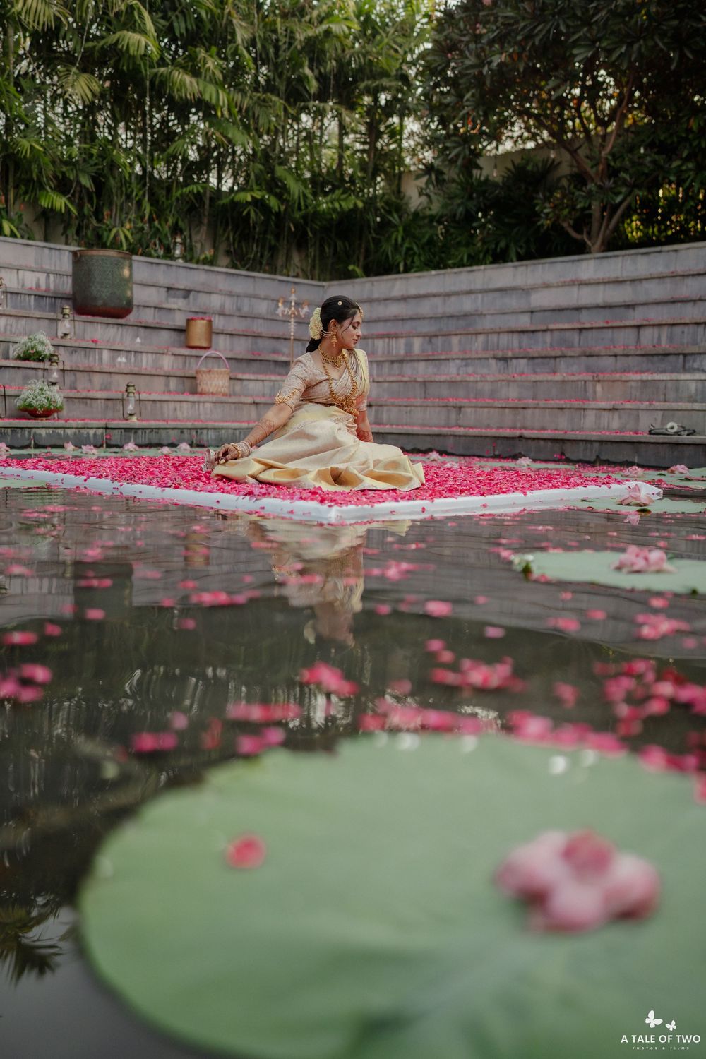Serene garden pond with floating lotus leaves and scattered pink rose petals creating a romantic reflection.