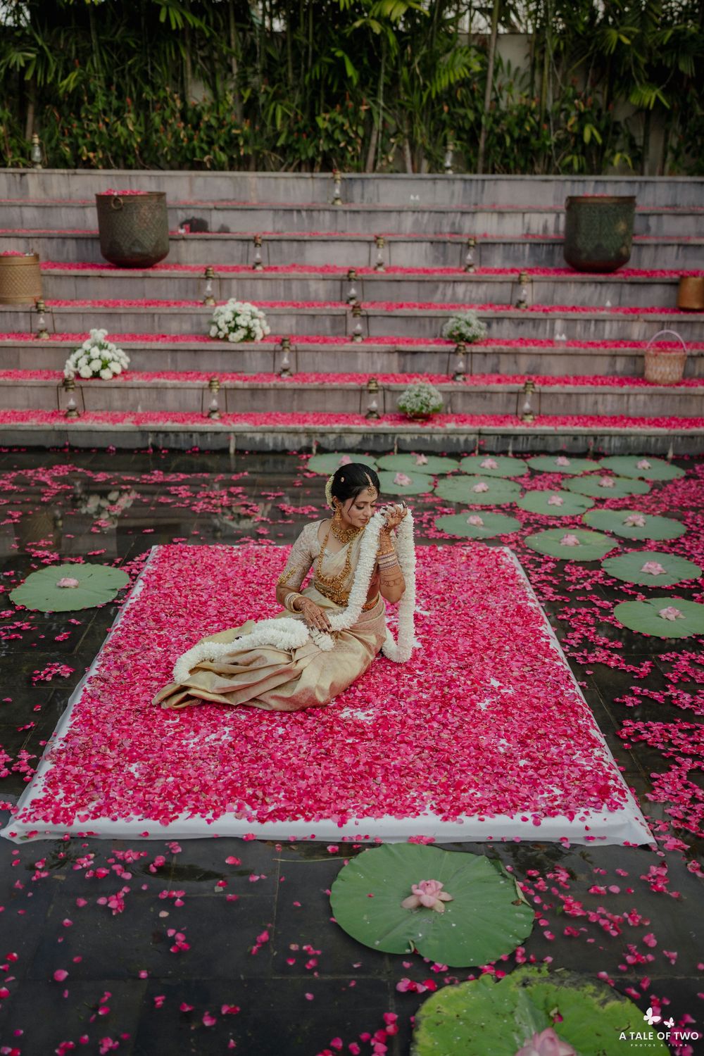 Romantic setup with pink rose petals scattered on water lily leaves creating a dreamy atmosphere.