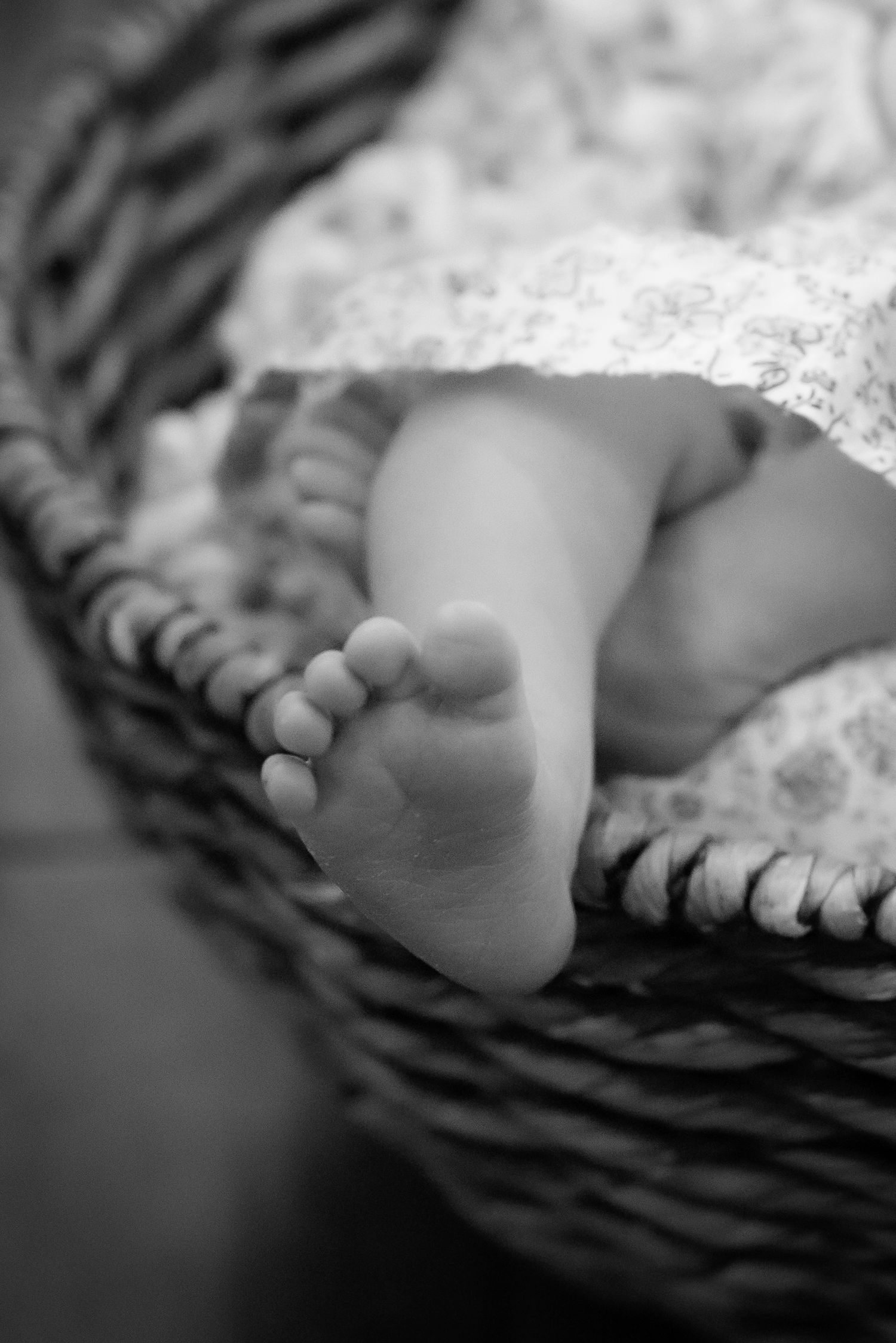 Black and white close-up of newborn baby tiny feet resting in a wicker basket.