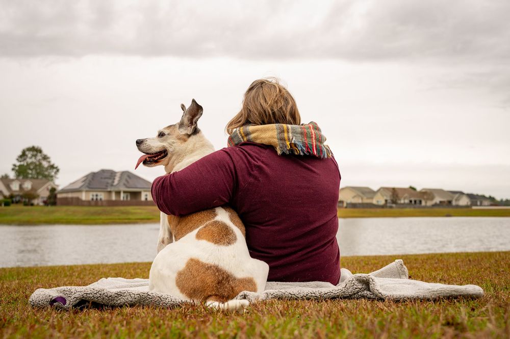 A white dog lies on grass beside someone wearing burgundy while looking at a cloudy sky.