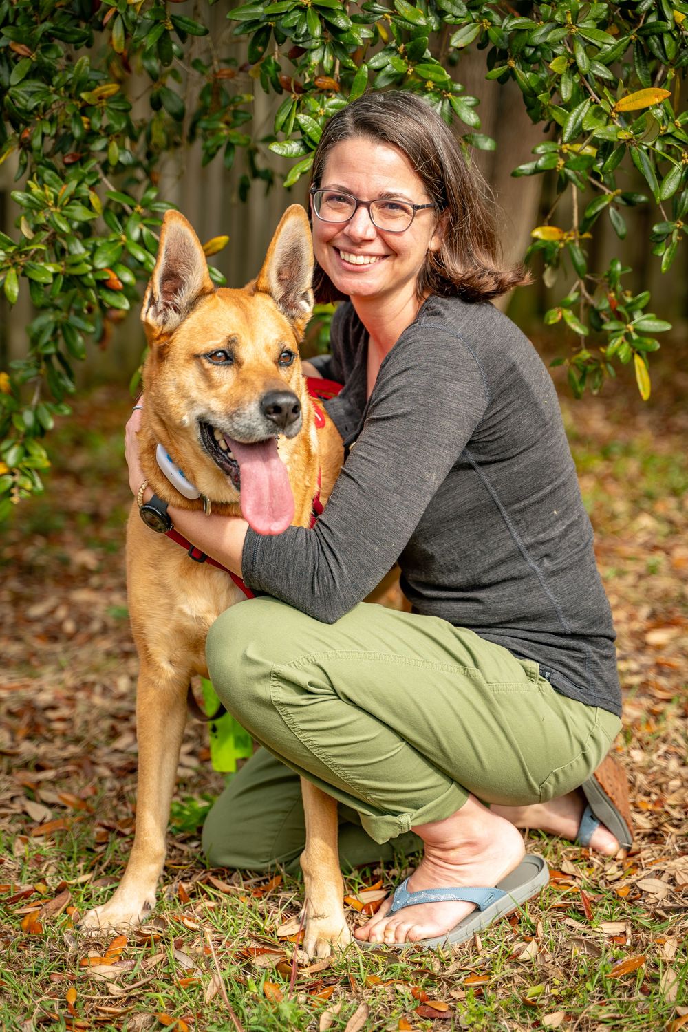 A tan mixed-breed dog with pointy ears and tongue out poses with someone in a garden setting with green foliage.