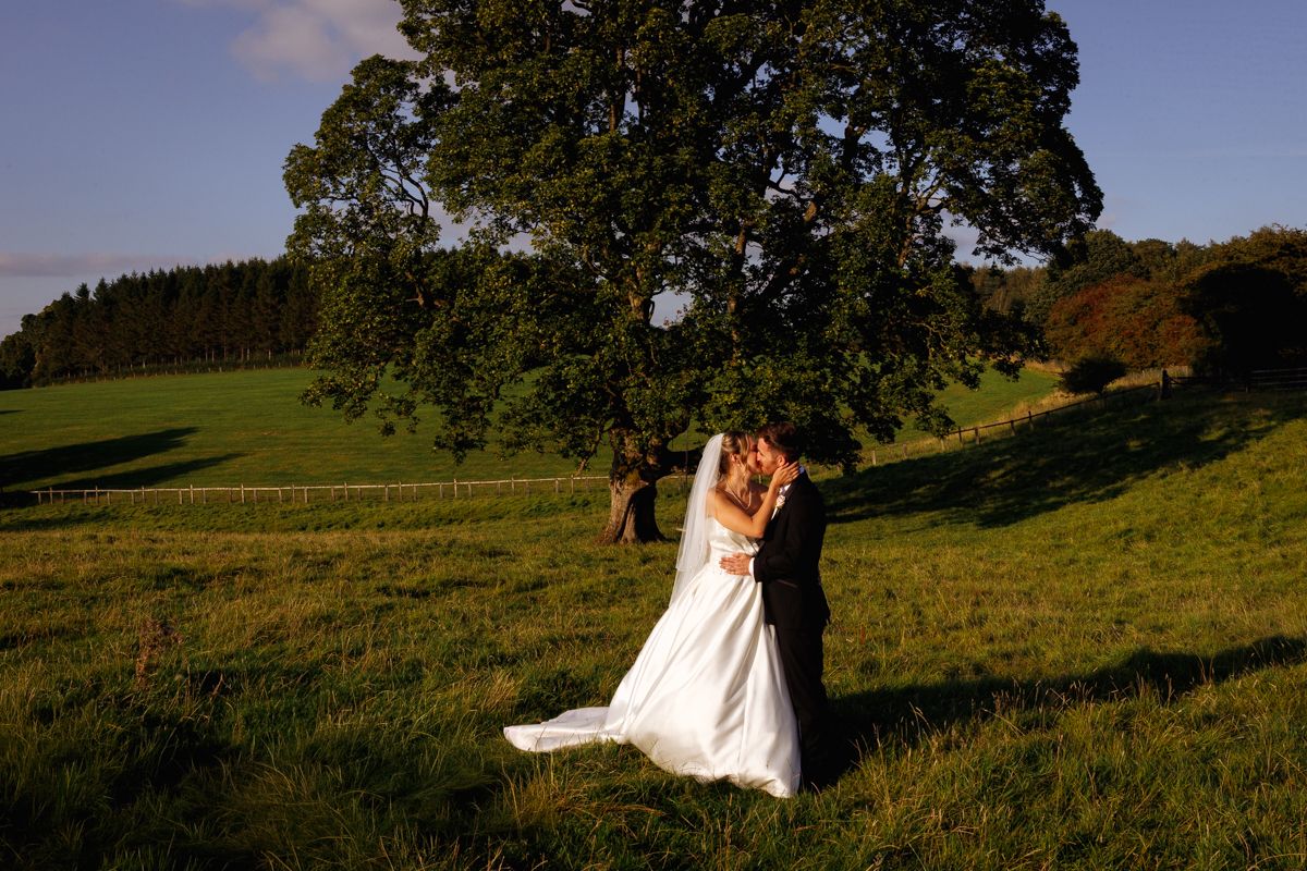 Bride and groom share a romantic kiss in a sunlit green meadow beneath a large oak tree on their wedding day. Gisburne Park Estate.