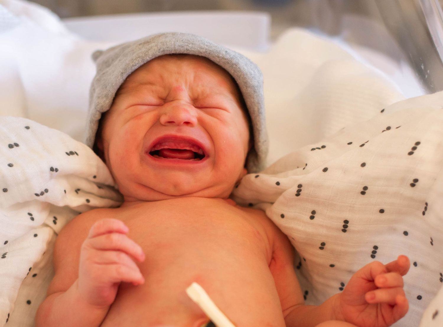Newborn baby crying in hospital bassinet wearing gray knit hat with umbilical cord clamp visible.