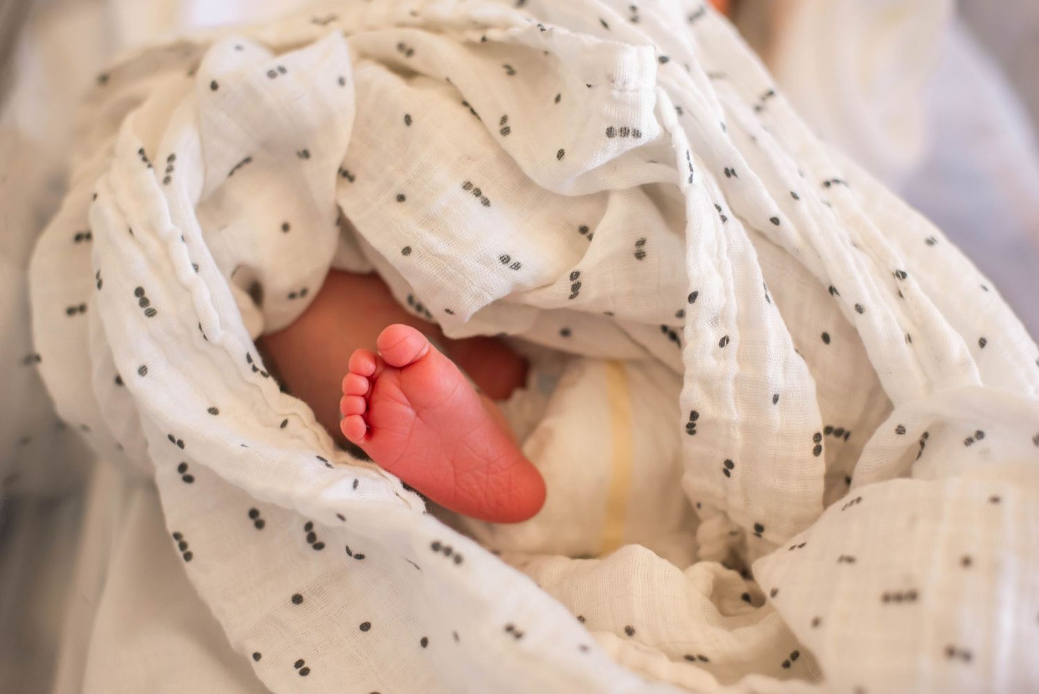 Close-up of newborn baby feet wrapped in white hospital swaddle blanket.
