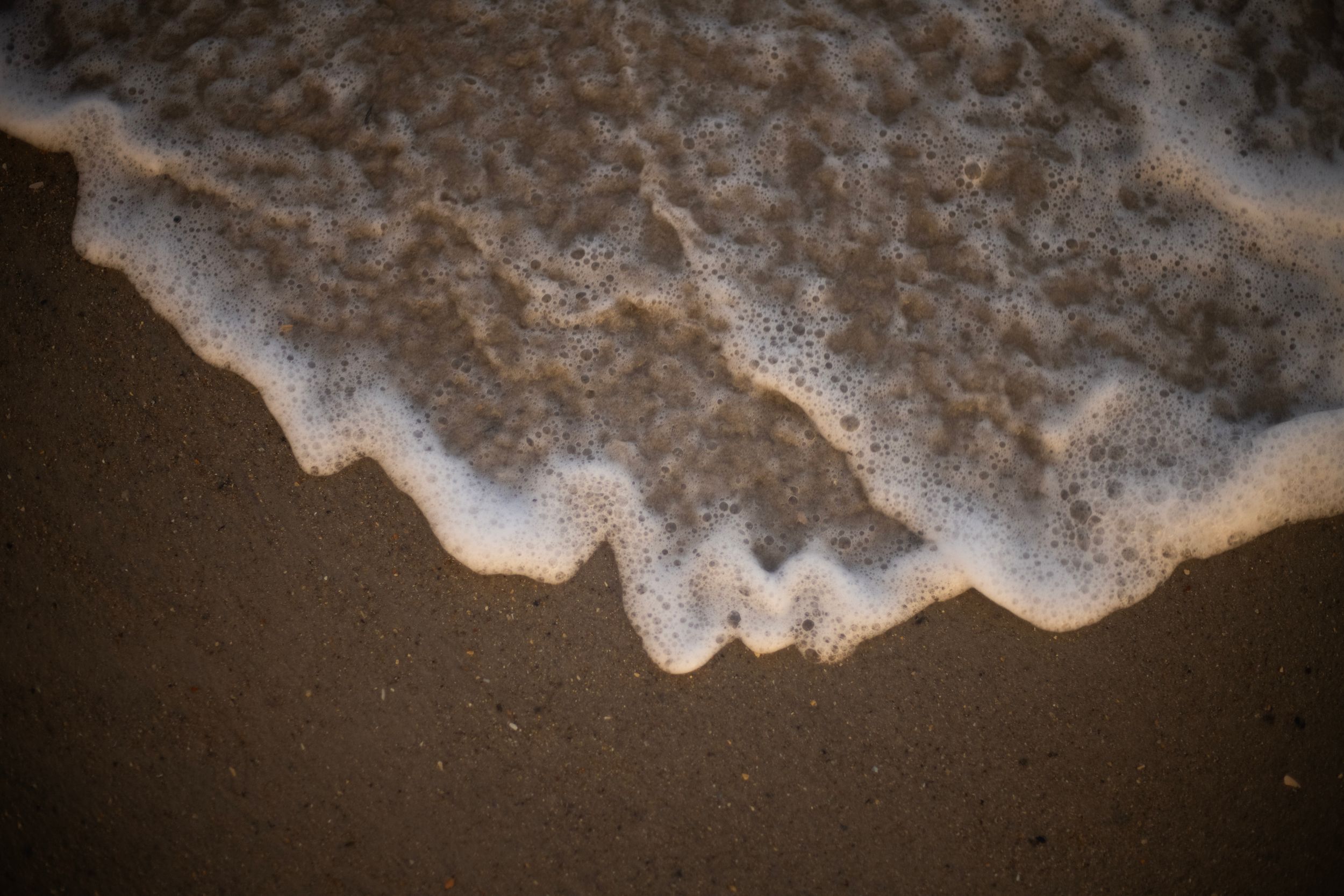 Foamy ocean wave washing over wet sandy beach shore at golden hour, creating a frothy white edge pattern.