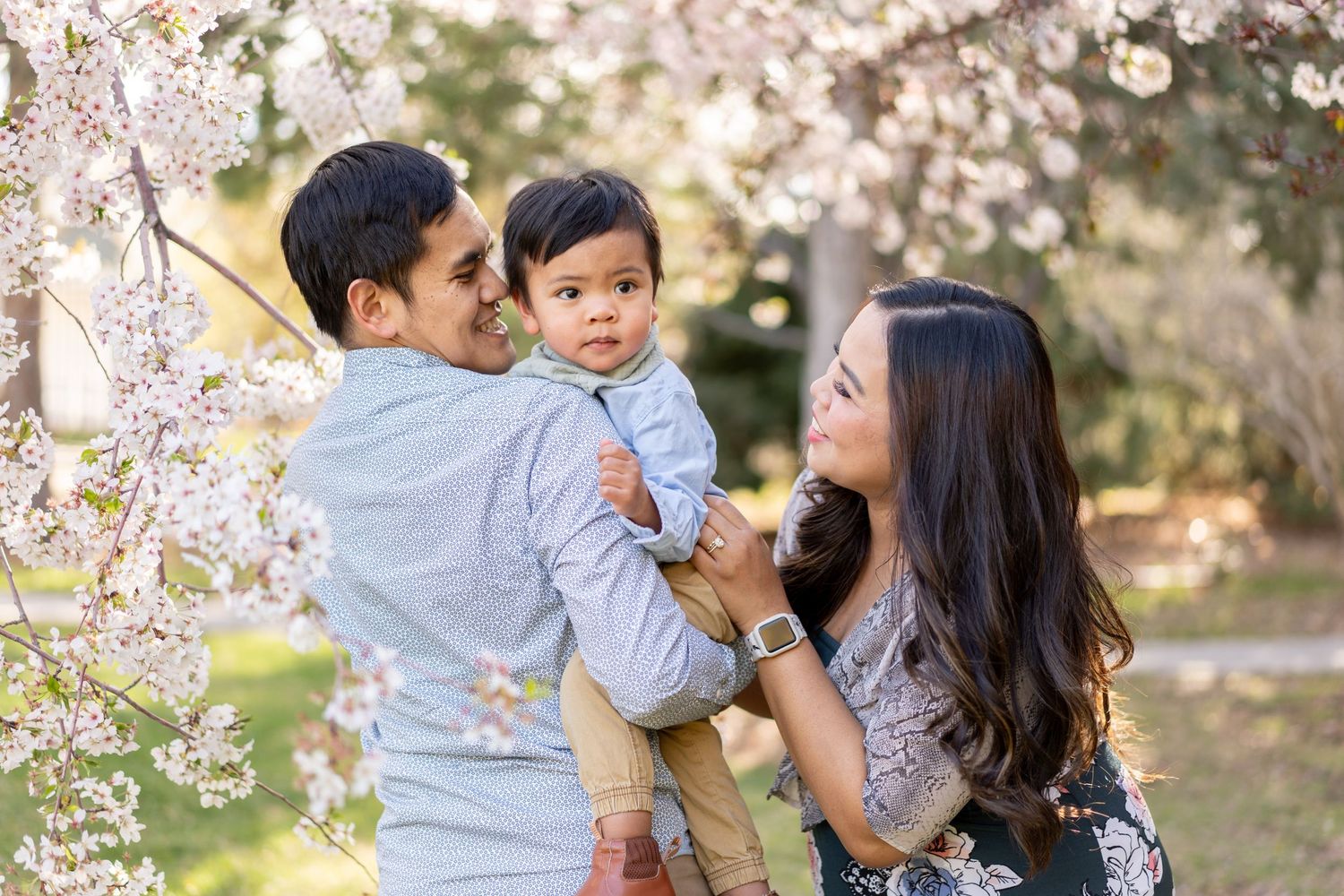 Family with baby boy posing among cherry blossom trees in a park during spring.