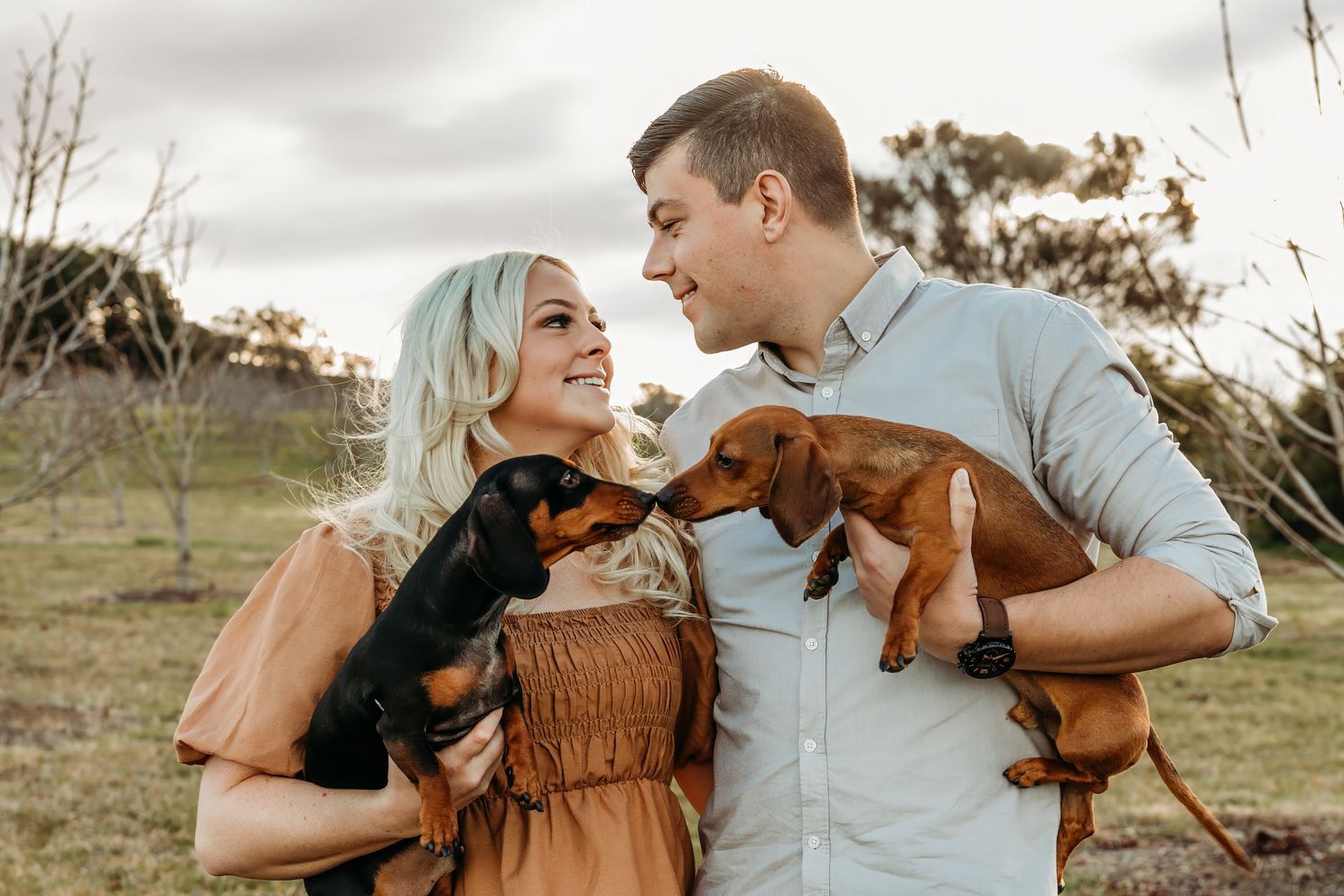 Couple laughing while holding two dachshund puppies in an outdoor Canberra setting for engagement photography Canberra engagement