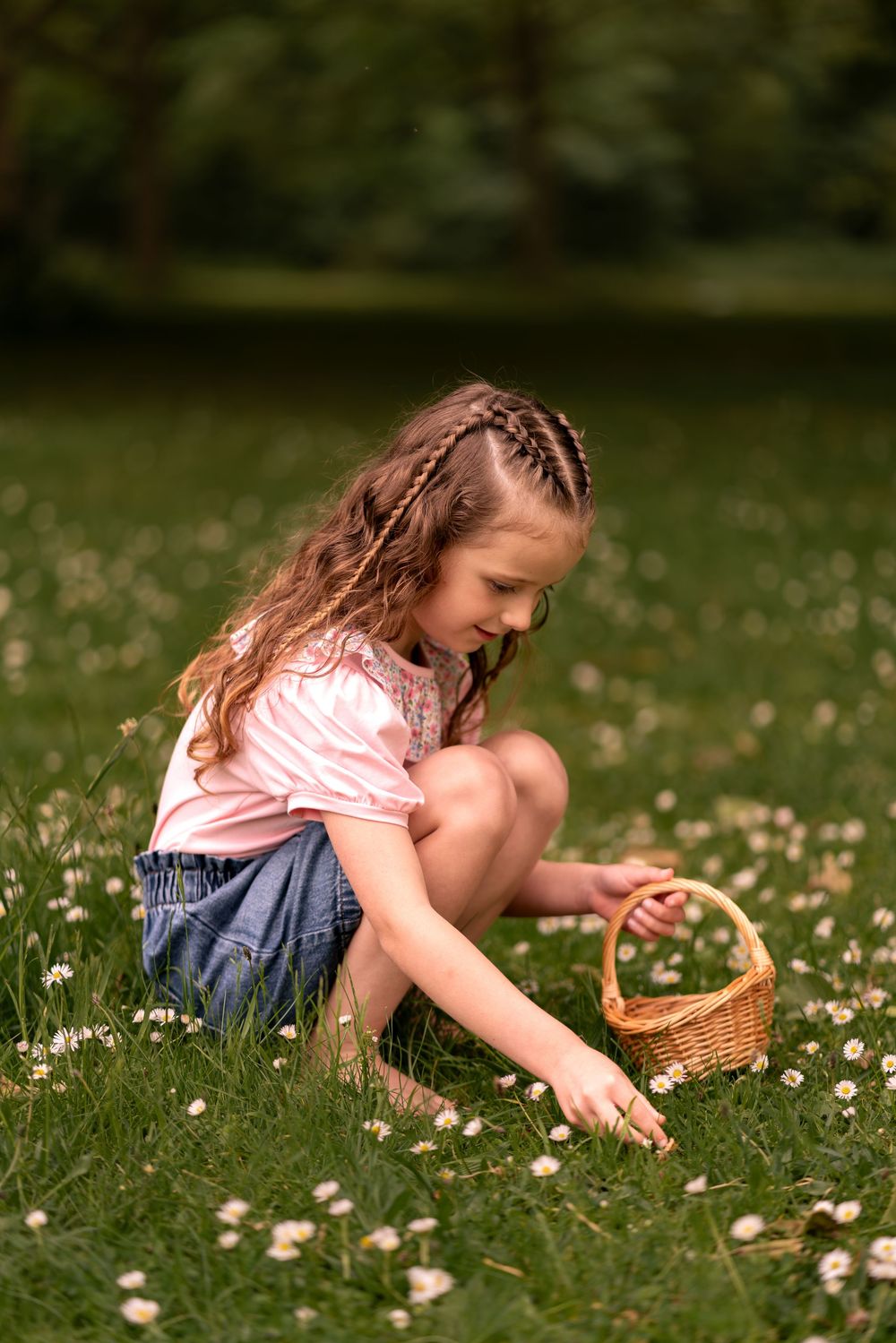 Young girl sitting in a flower meadow, picking daisies into a wicker basket on a sunny day during childhood photoshoot in Lincolnshire.