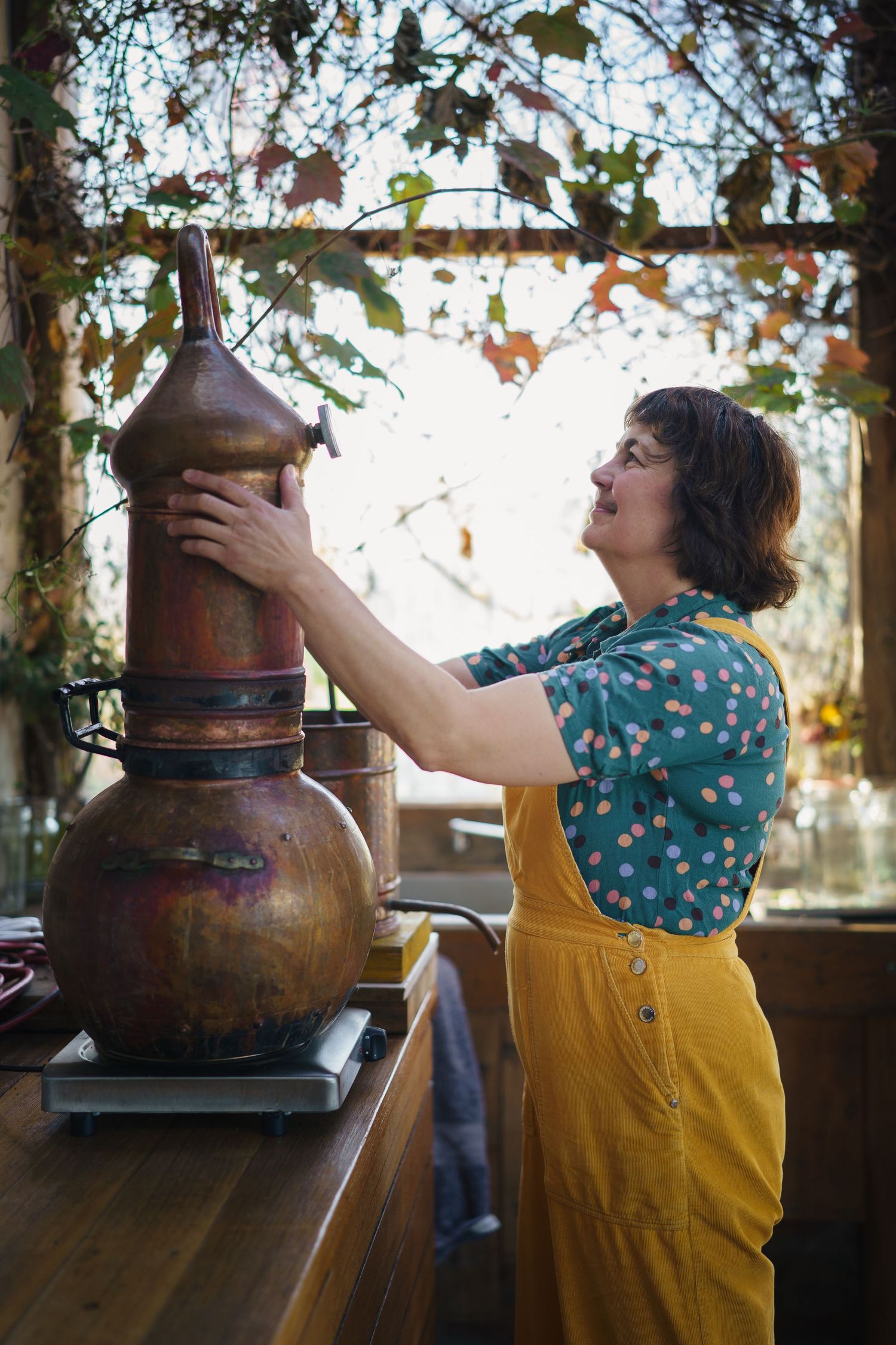 Woman in yellow apron adjusting copper alembic still on wooden counter beneath autumn vine-covered pergola.

Mara Ripani