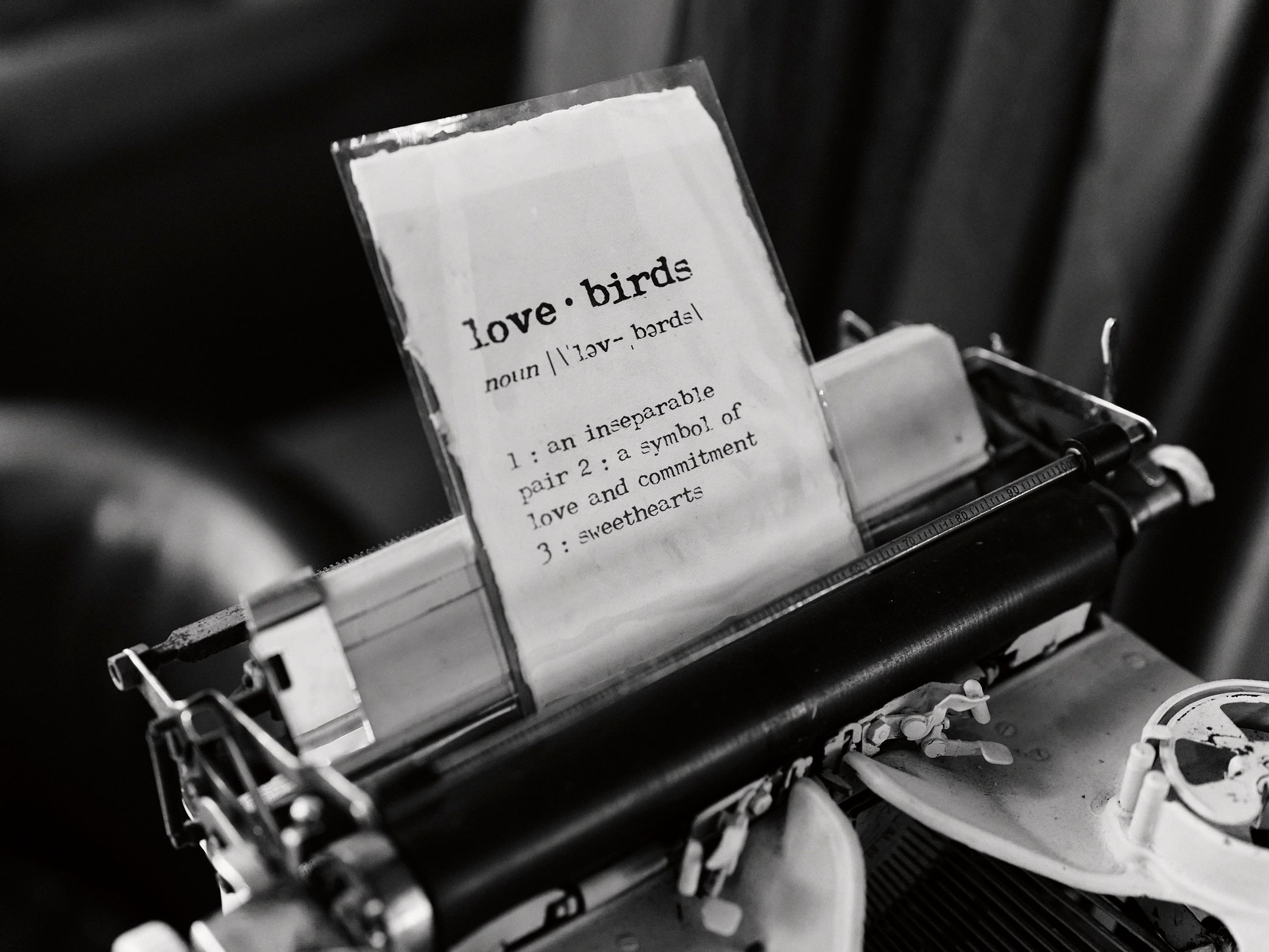 Vintage typewriter with paper defining love birds as an inseparable pair symbolizing love and commitment.
