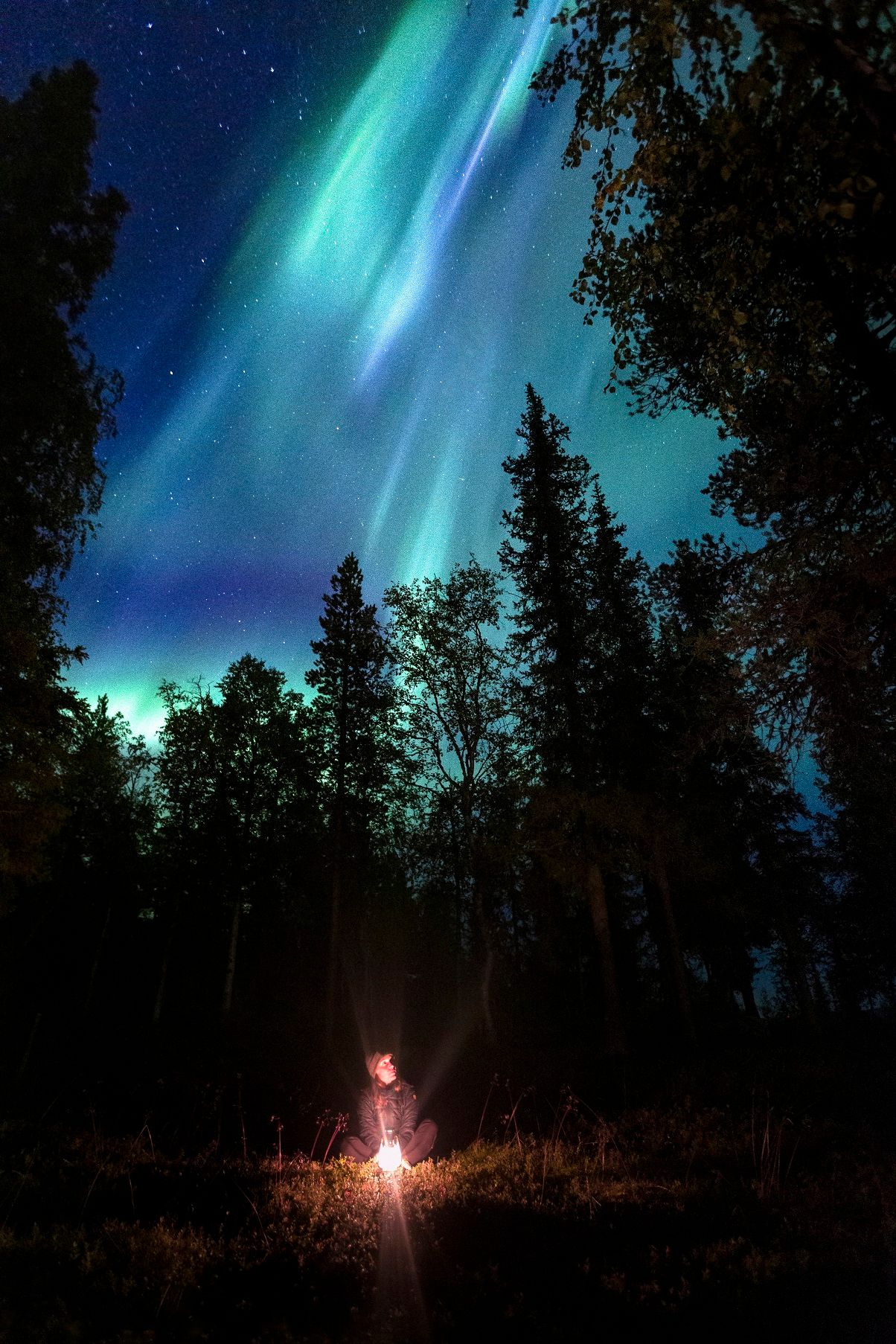 Under the northern lights